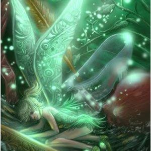 ??WICCAN MYSTERY 📦🎁BOX??